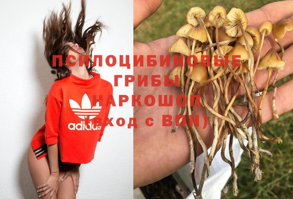 mdpv Пионерский