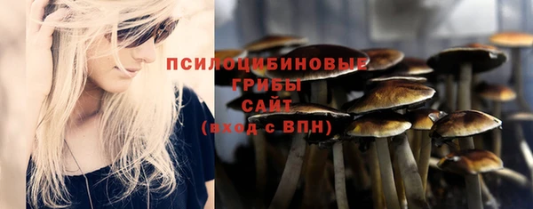 твердый Медвежьегорск