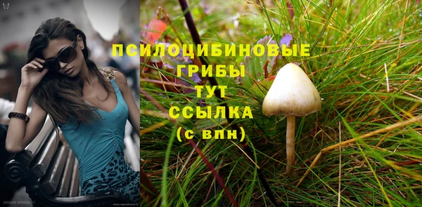 меф Мегион