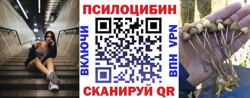 Галлюциногенные грибы прущие грибы Старый Крым
